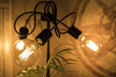 Photo by: Janusz Kowalski (jk-fotovideo.pl)